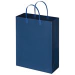 （まとめ） TANOSEE ラミネートバッグ 中縦タイプ 紺 1パック（10枚） 【×5セット】