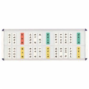ライオン事務器 社員一覧表 50枚2段用W600×H225×D15mm No.50N 1枚