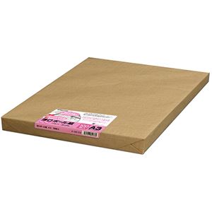 長門屋商店 薄口ボール紙 A3ナ-SB133 1パック（100枚）