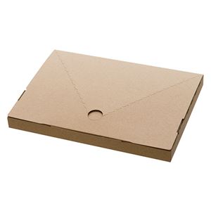 （まとめ） ヘッズ 無地コンパクト宅配ボックスW230×D20×H165mm M-TBX2 1パック（20枚） 【×5セット】