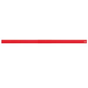 （まとめ） ライオン事務器 マグネットバー長さ320×幅15×厚さ8.5mm レッド No.300P 1本 【×10セット】