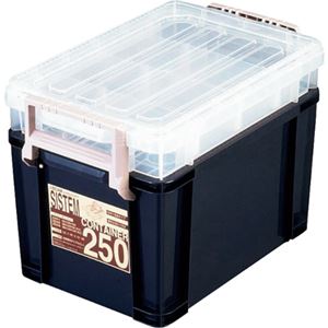 アステージ I.BEAMシステムコンテナ250 ブルー SYS-250 1個