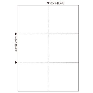 （まとめ）TANOSEEマルチプリンタ帳票(スーパーエコノミー) A4 白紙 6面 1冊(100枚) 【×20セット】