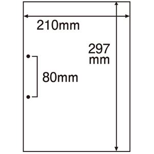 （まとめ）TANOSEE 用紙 (白紙・A4)2穴 1セット(500枚:100枚×5冊) 【×3セット】