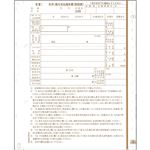 （まとめ）日本法令 地方MC-6給与支払報告書(総括表) 2枚複写 平成30年提出用(29年分) チホウMC-6-28 1箱(100セット) 【×2セット】