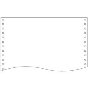 （まとめ）トッパンフォームズ NIPフォーム15×11インチ 1P 白紙 縦ミシン無 1510D1 1箱(2000枚) 【×2セット】