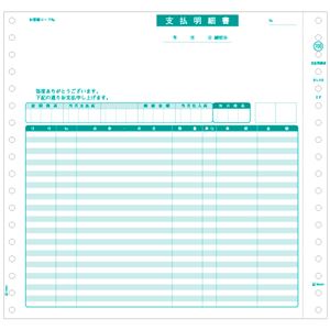 ヒサゴ 支払明細書 9_1/2×9インチ2P GB700 1箱(200セット)