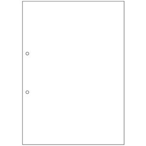 TANOSEEマルチプリンタ帳票(FSC森林認証紙) A4白紙 2穴 1セット(1000枚:500枚×2箱)