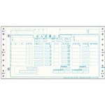 トッパンフォームズチェーンストア統一伝票 仕入 タイプ用(伝票No.無) 5P・連帳 10×5インチ C-BP25N1箱(1000組)