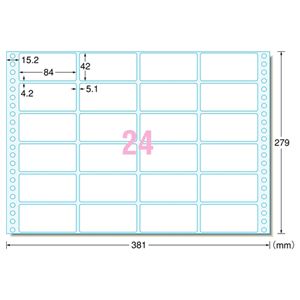 エーワン コンピュータフォームラベル15×11インチ 24面 84×42mm 28015 1箱(500折)