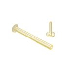 （まとめ）ライオン事務器 水溶性ポリファスナー補充用ヘッド PF-H 1パック(50個) 【×10セット】