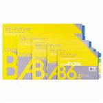 （まとめ）ライオン事務器 カラーインデックスA4ヨコ 2穴 5色5山+扉紙 C1-22 1パック(2組) 【×20セット】