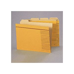 （まとめ）ライオン事務器 カットフォルダー B5判B5-4F-R-20P 1パック(20冊) 【×5セット】