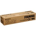 ソニー アルカリ乾電池 STAMINA単3形 業務用パック LR6SG100XD 1セット(200本:100本×2箱)