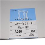 桜井 スターパックトレス 三菱艶消し厚口T62 A1 60g/m2 T A160 1冊(100枚)