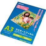 （まとめ）ナカバヤシ ラミネートフィルム A3100μ LPR-A3E2 1パック(100枚)【×2セット】