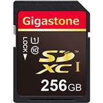 Gigastone SDXCカード256GB UHS-1 GJSX/256U 1枚