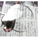写真3
