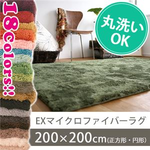 スミノエ EXマイクロファイバーラグ 200×200cm 正方形 アプリコットオレンジ MS-300の詳細を見る スミノエ EXマイクロファイバーラグ 200×200cm 正方形 アプリコットオレンジ MS-300の詳細を見る