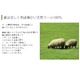 スミノエ ウールマーク 防炎 ラグ ウールソナタ 130×190cm ピンク 【日本製】 - 縮小画像3