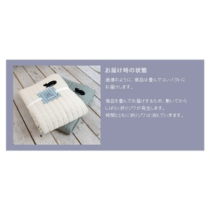 ネコワッペン キルトラグ/絨毯 【190cm×240cm アイボリー】 長方形 洗える 防滑 『キャットキルト』 〔リビング〕 ネコワッペン キルトラグ/絨毯 【190cm×240cm アイボリー】 長方形 洗える 防滑 『キャットキルト』 〔リビング〕
