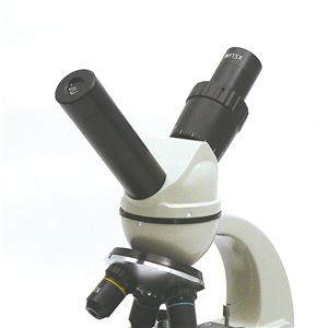 ステージ上下顕微鏡 RLD600 光源付き 商品写真2