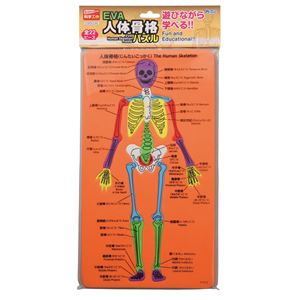 (まとめ)アーテック EVA人体骨格パズル 【×30セット】 商品写真