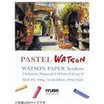 （3）Muパステルワトソン PSW-2610 P10