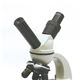 アーテック ステージ上下顕微鏡 RLD400 光源付き  - 縮小画像3