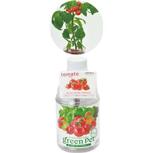(まとめ)アーテック 育てるグリーンペットベジミニトマト 【×10セット】 - 拡大画像