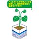 (まとめ)アーテック 植物の発芽と成長基本セット 【×30セット】 - 縮小画像2