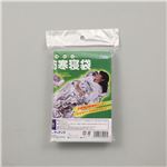 写真3