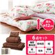極厚敷布団付き寝具セット 【1: シングルサイズ/6点セット】 毛布付き 洗える(枕カバーのみ) ブラウン