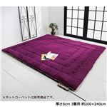 ふっかふかラグマット 単品 【厚さ6cm 3畳用 約200×240cm】 床暖可 パープル(紫)