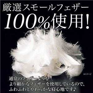 羽根布団5点セット/寝具セット 【ブルー】 掛け布団/敷布団/枕/敷パッド/毛布 オールシーズン対応 羽根布団5点セット/寝具セット 【ブルー】 掛け布団/敷布団/枕/敷パッド/毛布 オールシーズン対応