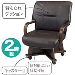 【チェアのみ】ダイニングヒジありチェア2脚組