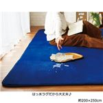 はっ水！厚みふかふかボリュームタッチラグ ネイビー 約90×120cm