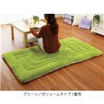 ふっかふか ラグマット/絨毯 【グリーン レギュラータイプ 1.5畳用 135cm×190cm】 長方形 ホットカーペット 床暖房可