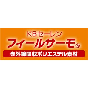蓄熱 羽毛布団/掛け布団 【シングル 増量版】 ペイズリー・ブラウン 日本製 フィールサーモ KBセーレン 〔寝室 ベッドルーム〕 蓄熱 羽毛布団/掛け布団 【シングル 増量版】 ペイズリー・ブラウン 日本製 フィールサーモ KBセーレン 〔寝室 ベッドルーム〕