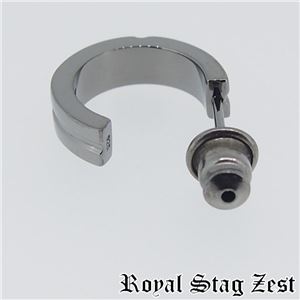 sp25-005 Royal Stag ZEST（ロイヤル・スタッグ・ゼスト） ピアス・イヤーカフ メンズ - 拡大画像