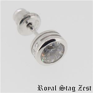 sp25-009 Royal Stag ZEST（ロイヤル・スタッグ・ゼスト） シルバースタッドピアス メンズ - 拡大画像