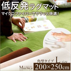 低反発マイクロファイバーラグマット/絨毯 【Lサイズ/ベージュ】 200cm×250cm 『Mochica』 滑り止め付き 床暖房・ホットカーペット対応 - 拡大画像