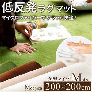 低反発マイクロファイバーラグマット/絨毯 【Mサイズ/ブラウン】 200cm×200cm 『Mochica』 滑り止め付き 床暖房・ホットカーペット対応 - 拡大画像