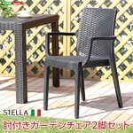 ガーデン肘付チェア 2脚セット【ステラ-STELLA-】(ガーデン カフェ) ブラック