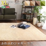 ふわふわシャギーラグマット 【×Lサイズ 200×300cm/グリーン】 洗える オールシーズン対応 『エノーテ』