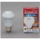 アイリスオーヤマ LED電球 人感センサー付mini 250lm 電球色 E26口金 1個 型番:LDA4L-H-S4