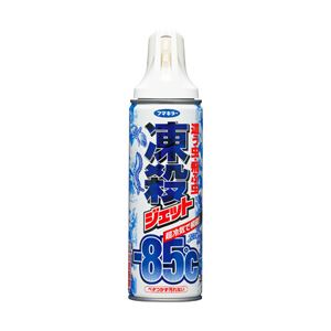 フマキラー 凍殺ジェット 1本 300ml