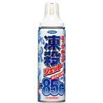 フマキラー 凍殺ジェット 1本 300ml