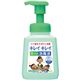 LION キレイキレイ薬用泡で出る消毒液 本体 1本(250ml)