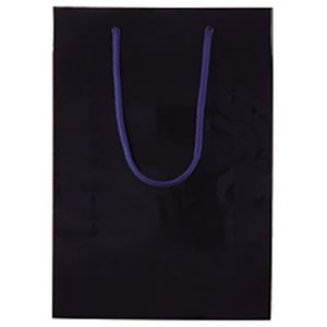 (業務用セット) ブライトバッグ A4 紫紺 【×30セット】 商品写真